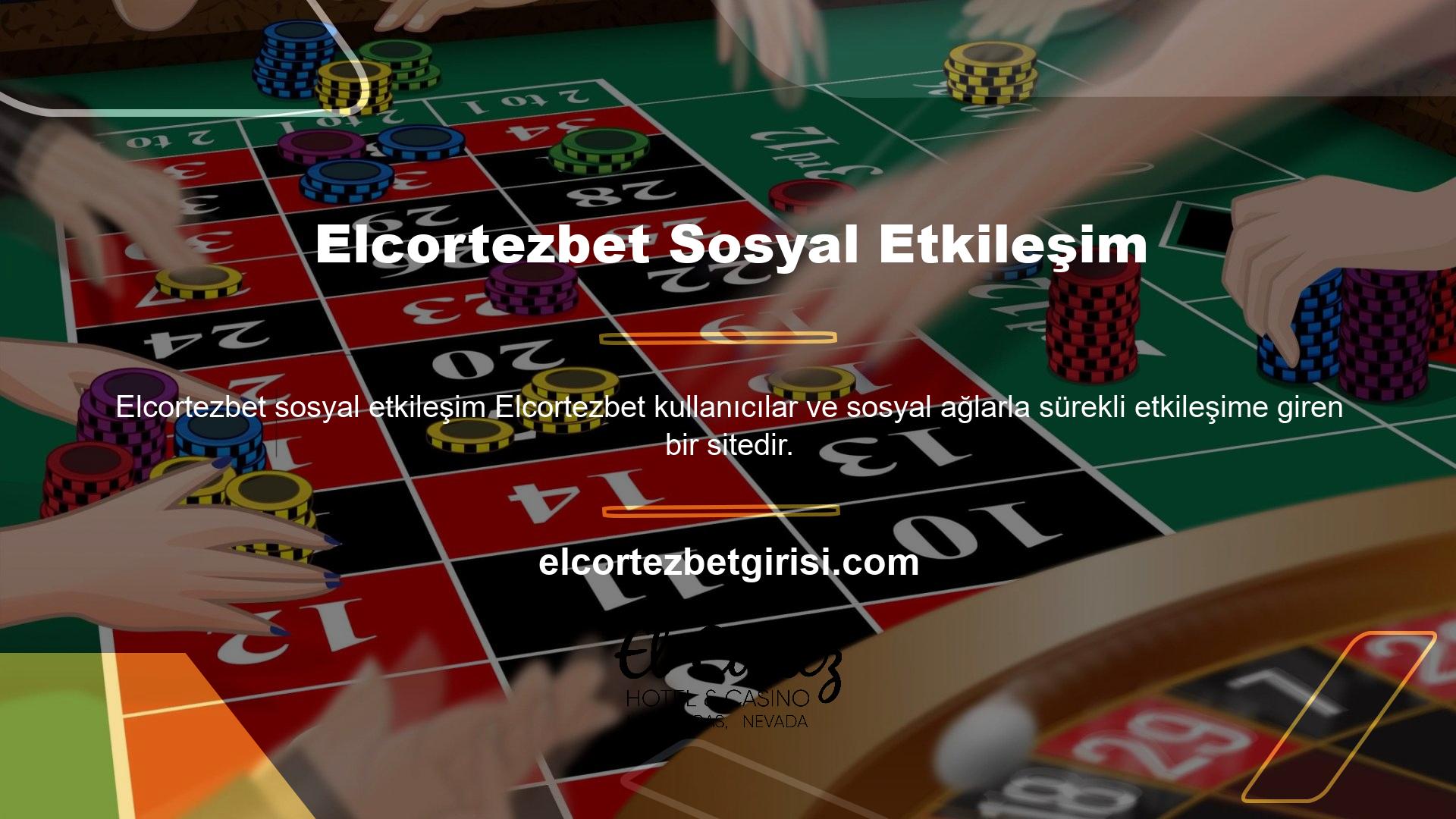 Sistemi herhangi bir sorun olmadan da gözden geçirebilir ve ihtiyaçlarınıza uygun bir kar bölümü başlatmayı seçebilirsiniz